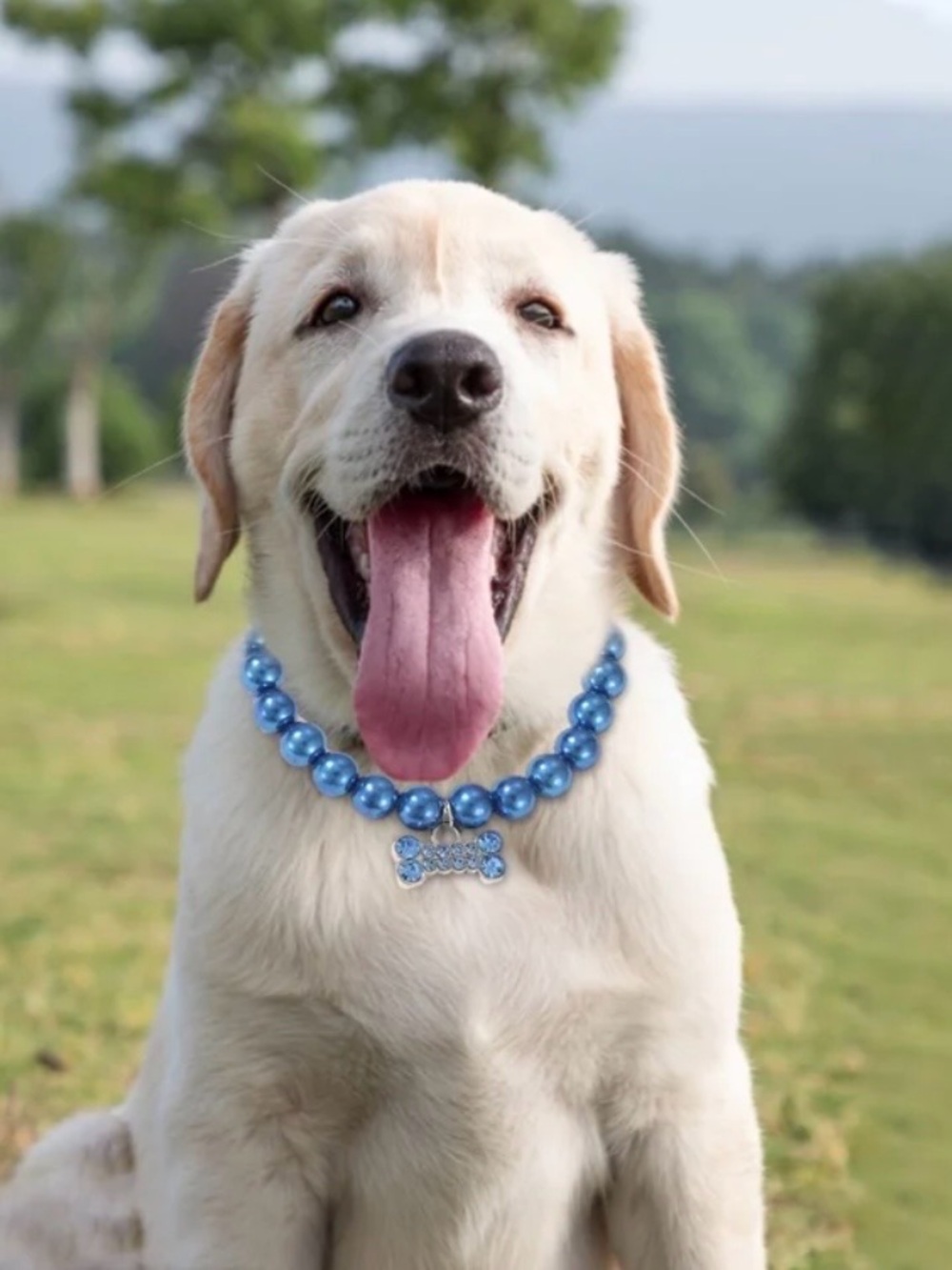 PetFavorites Couture Designer Pink Pearl & Rhinestone Pet Necklace - Picture 6 of 6